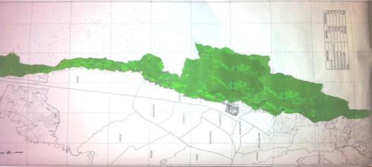 antes de Res